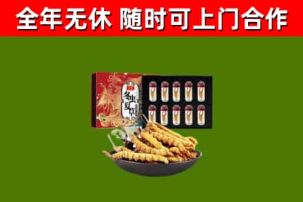 麻山区烟酒回收冬虫夏草礼盒.jpg
