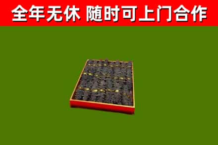 麻山区回收海参